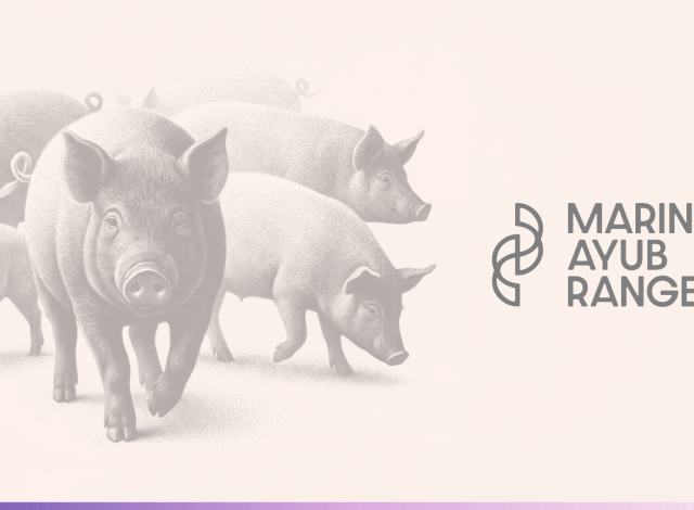 Marina Ayub Rangel | Identidade Visual